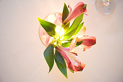 MI16 - THE MERCER ISLAND SWEET SIXTEEN